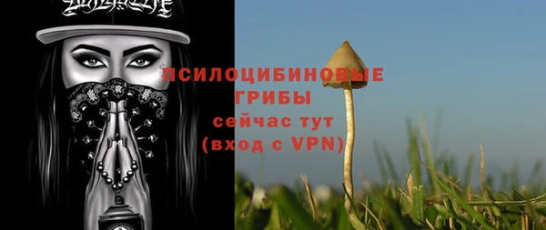 прущий лед Белокуриха