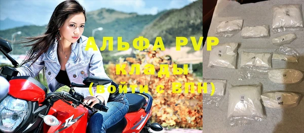 крисы Богородицк