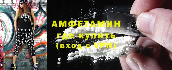 крисы Богородицк
