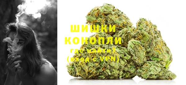 молекула духа Богданович
