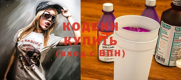 крисы Богородицк