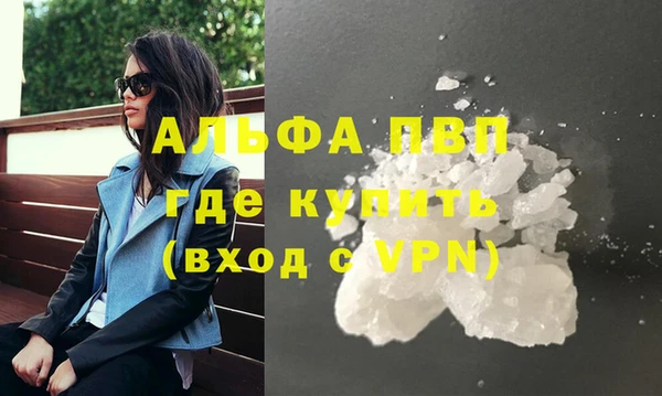 молекула духа Богданович