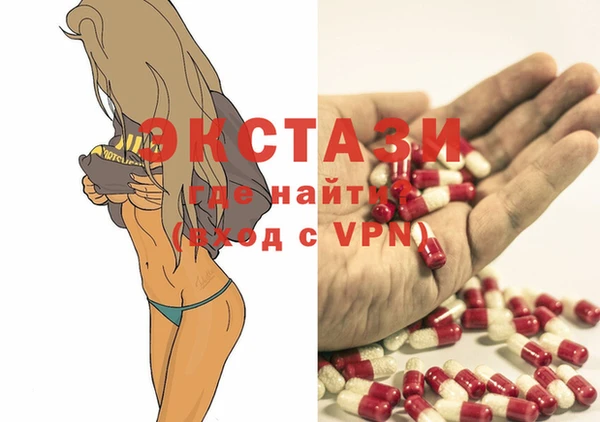 крисы Богородицк