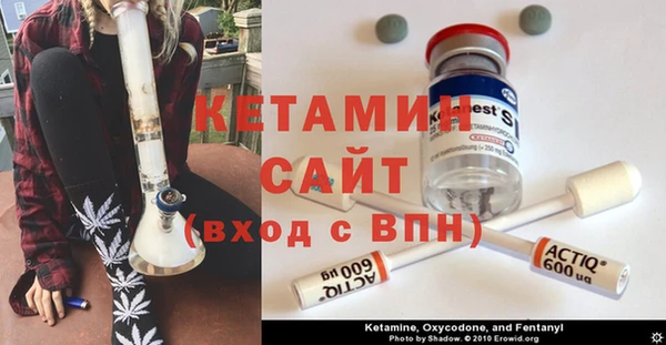 молекула духа Богданович