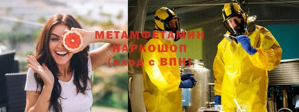 крисы Богородицк