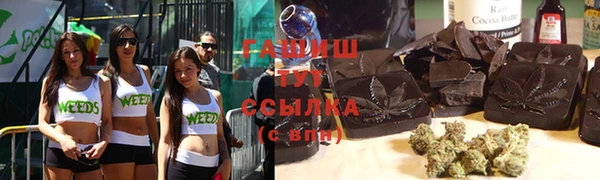 молекула духа Богданович