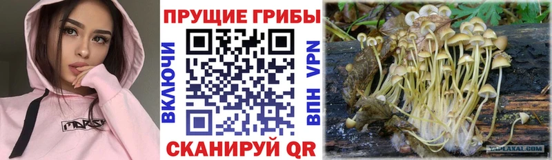 Галлюциногенные грибы прущие грибы Верхоянск